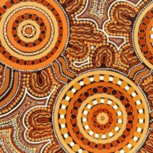 Resilience in the Outback