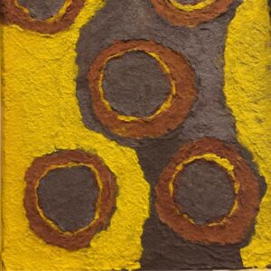 Sky View of Spinifex Burrows